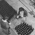 The Growing Influence of Wine Production in the United States