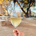 The Best Wines for People Who Don't Like Wine