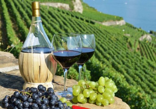 The Art of Finding the Perfect Wine